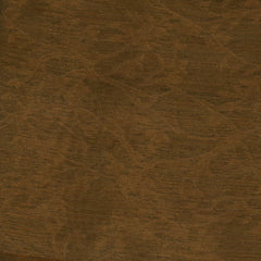 Tissue semi Golden Oak Saree with Blouse