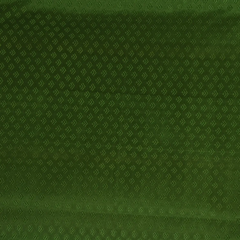 Kanchipuram Silk Moss Green Saree with Blouse