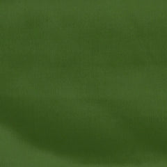 Mysore Crepe Silk Mint Green Saree