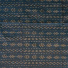 Pochampally Ikkat Sky Blue Saree with Zari Border and Blouse