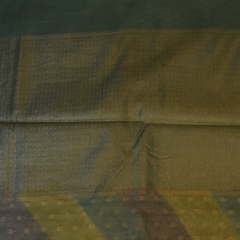 Banarasi kora tissue Sage Green Saree with Blouse