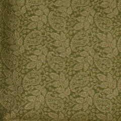 Olive Green Benares Chanderi Saree with Blue Zari Border