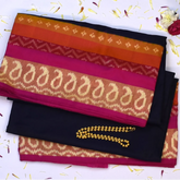 Pochampally Ikkat Navy Blue Saree with Multi-Layered Paisley Design Border and Blouse