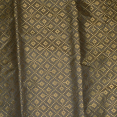 Banarasi Gray Saree Paithani Boarder with Blouse