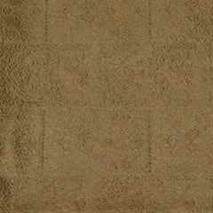 Pale Gold Benares Chanderi Saree with Full Zari Work