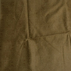 Pale Gold Benares Chanderi Saree with Full Zari Work