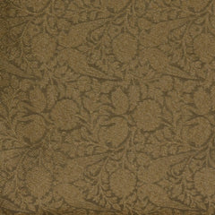 Pale Gold Benares Chanderi Saree with Full Zari