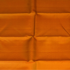 Kanchipuram Silk Goldenrod Saree with Blouse