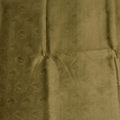 Pale Gold Benares Chanderi Saree with Full Zari