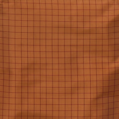 Gadwal paithani pure silk Soft Caramel Saree with Blouse