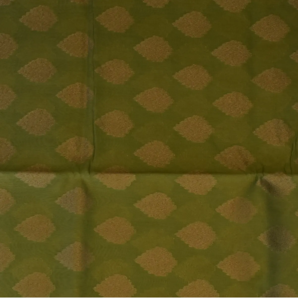 Banarasi Rangkat Cotton Avocado Green Saree with Blouse