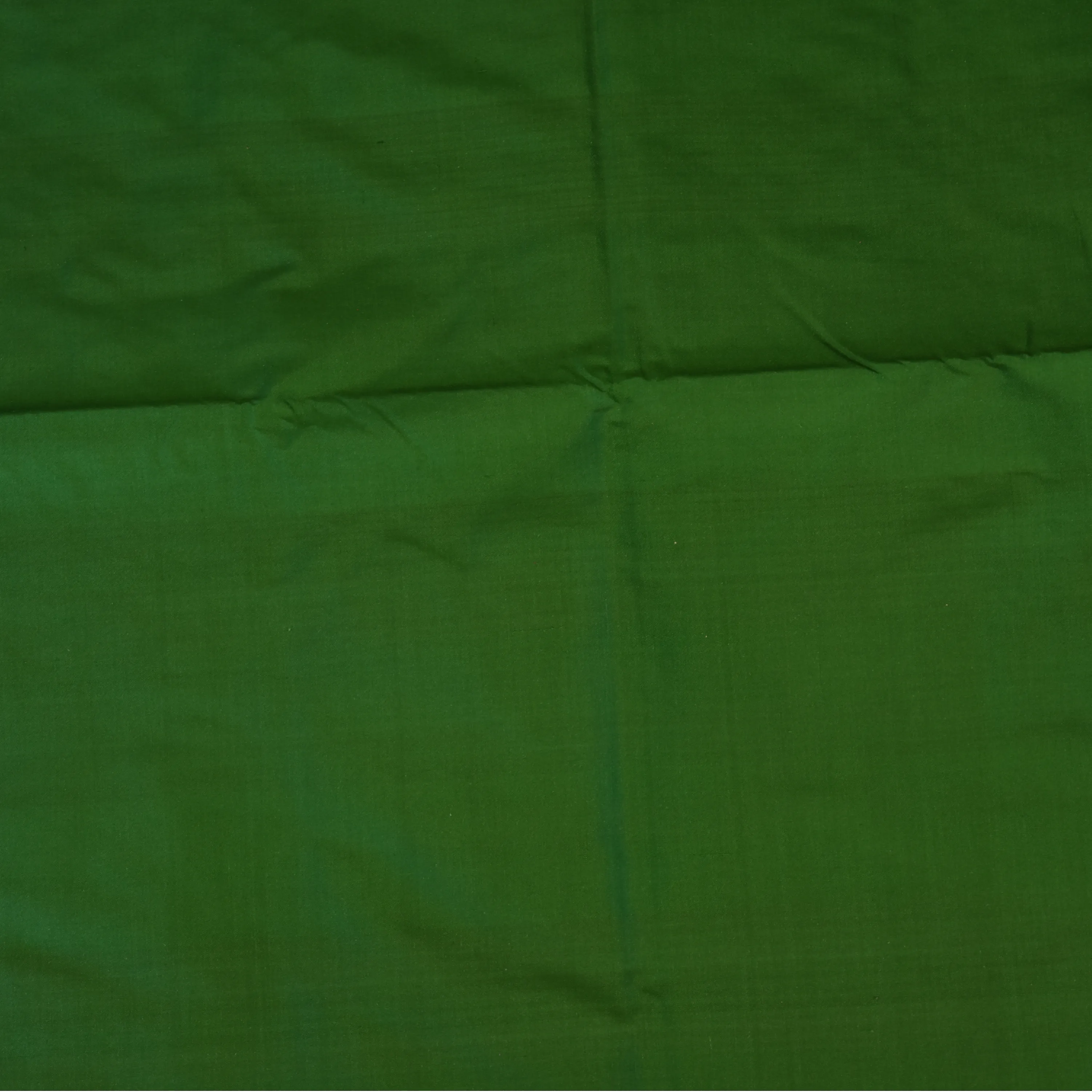 Pochampally Ikkat Green Saree with Double Ikkat and Pallu and Blouse