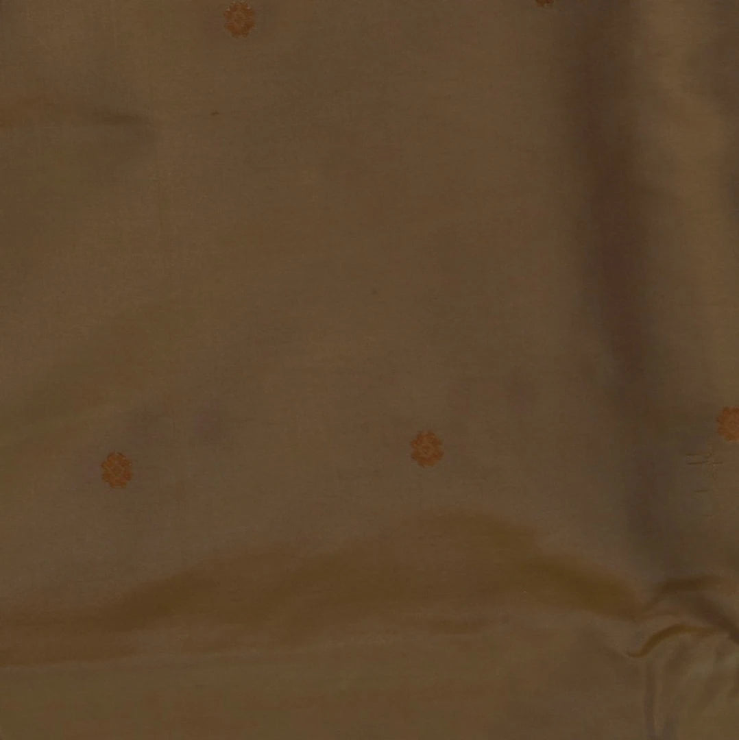 Ilkal Gadal Pure Silk Cream Saree With Black Border
