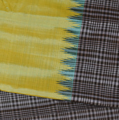 Gadwal pure silk shot green saree with checks boarder