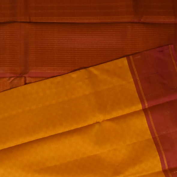 Kanchipuram Silk Amber Saree with Blouse