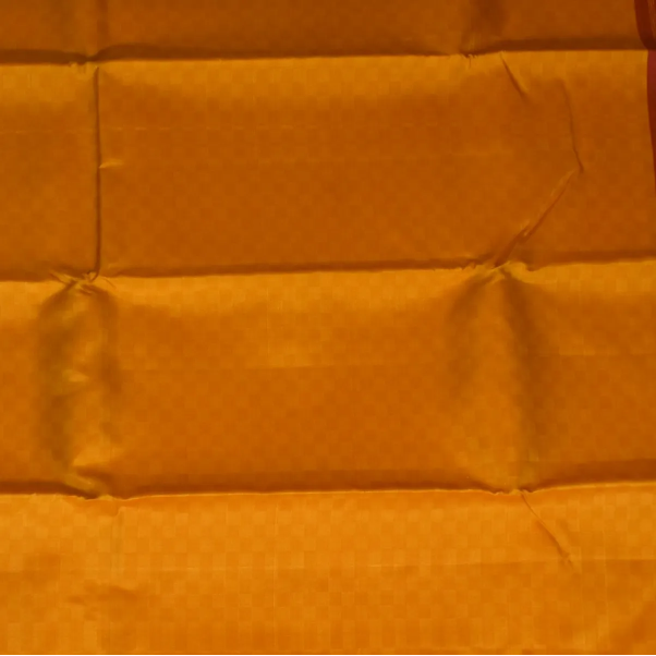 Kanchipuram Silk Amber Saree with Blouse