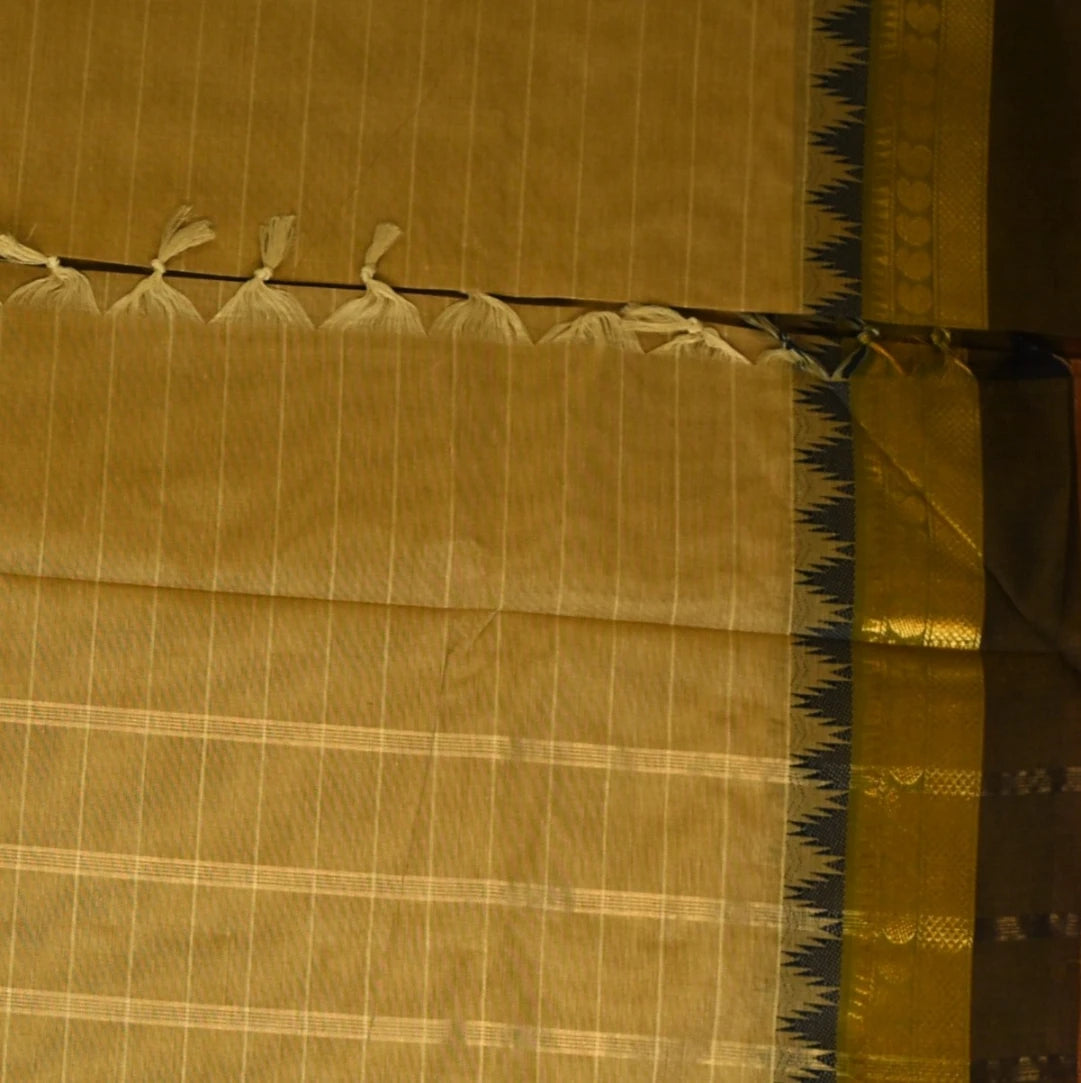 Kanchi Cotton Cream Saree With Jari Boarder with Blouse