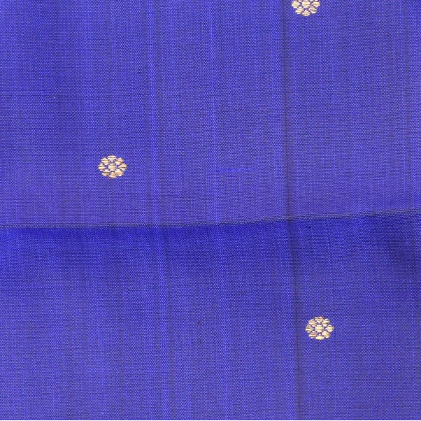 Kanchipuram Silk Indigo Saree with Blouse