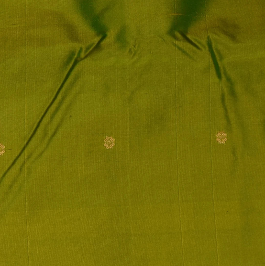Ilkal Gadwal Silk Parrot Green Saree Blue Boarder with Blouse