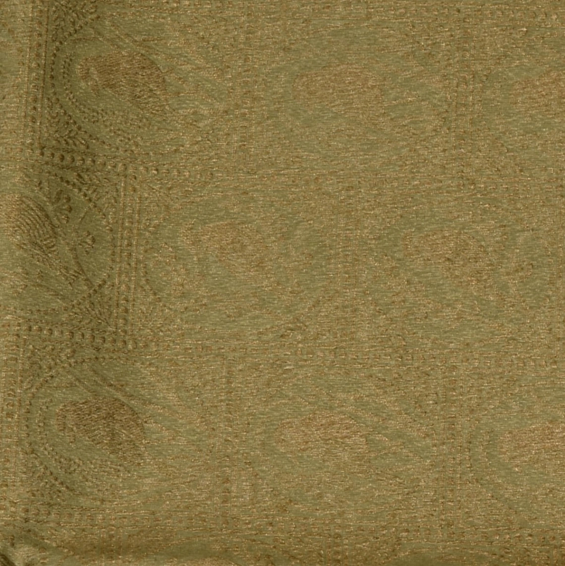 Pale Gold Benares Chanderi Saree with Full Zari