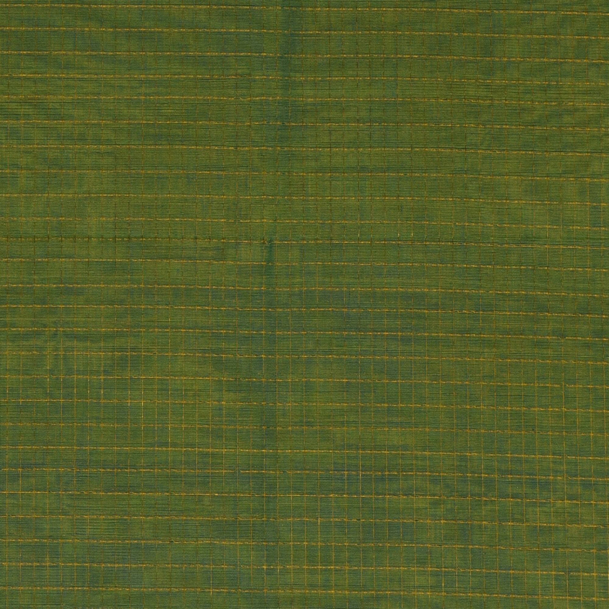 Silk cotton parrot green saree royal blue boarder